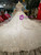 Light Champagne Ball Gown Tulle Appliques Off The Shoulder Wedding Dress With Long Train