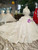 Light Champagne Ball Gown Tulle Lace Appliques Cap Sleeve Wedding Dress With Long Train