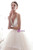 Spaghetti Starps Tulle Backless Light Champagne Wedding Dress With Train