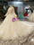 Light Champagne Ball Gown Tulle Sequins Long Sleeve Wedding Dress With Removable Train