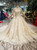 Champagne Ball Gown Tulle Appliques Off The Shoulder Short Sleeve Wedding Dress