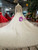 Light Champagne Tulle Lace Appliques Long Sleeve Backless Wedding Dress