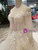 Light Champagne Tulle Lace Appliques Long Sleeve Backless Wedding Dress