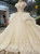 Light Champagne Tulle Sequins Appliques Bateau Cap Sleeve Wedding Dress