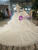 Light Champagne Tulle Sequins Appliques Bateau Cap Sleeve Wedding Dress