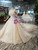 Champagne Tulle Appliques Off The Shoulder Wedding Dress With Long Train