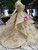 Champagne Gold Ball Gown Sequins Off the Shoulder Beading Wedding Dress