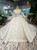 Champagne Ball Gown Tulle Appliques Long Sleeve With Beading Wedding Dress