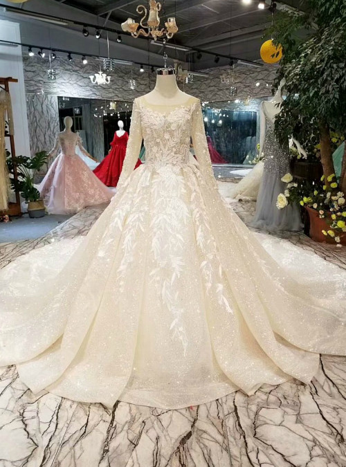 Champagne Tulle Appliques Long Sleeve Open Back Luxury Wedding Dress
