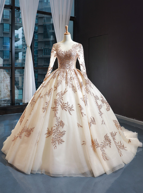 Dark Champagne Sheer Tulle Appliques Sexy Long Sleeves Prom Dress