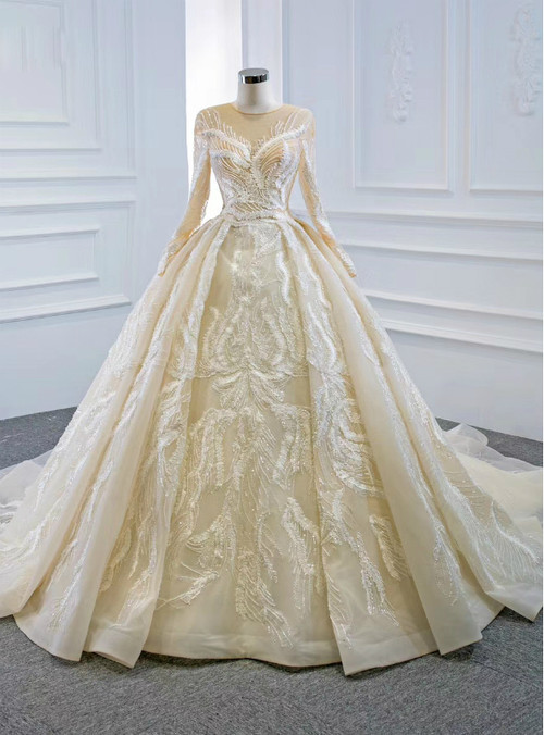 For You Champagne Ball Gown Tulle Appliques Long Sleeve Beading Wedding ...