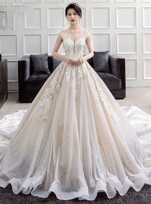 Ivory Ball Gown Sequins Backless Long Train Appliques Wedding Dress