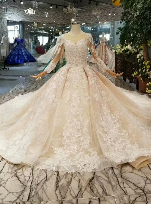 Champagne Ball Gown Tulle Lace Long Sleeve Beading Wedding Dress With ...