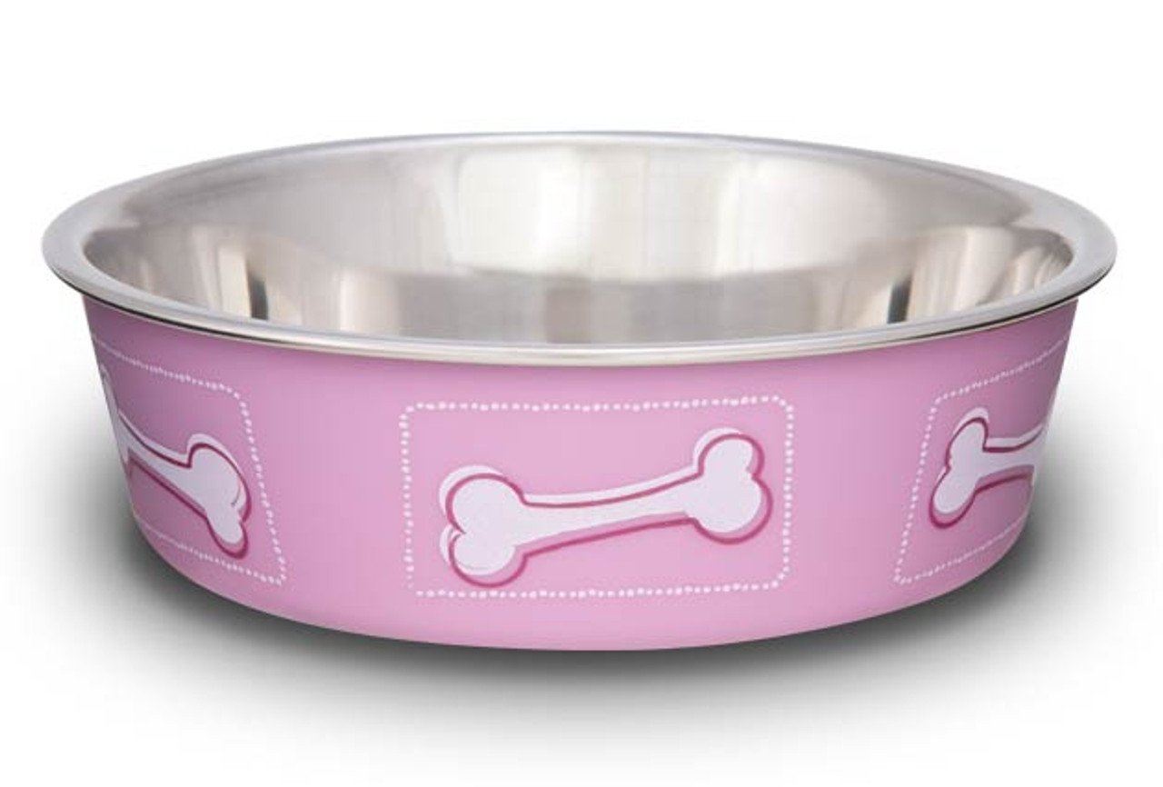 cute female dog bowls