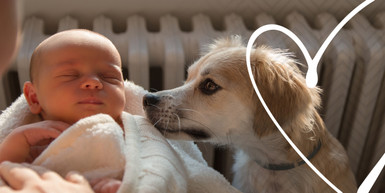 Introducing a New Baby to Your Dog: A Guide for Expecting Parents