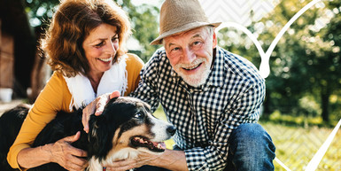 Understanding Canine Cancer: Prevention, Detection and Treatment