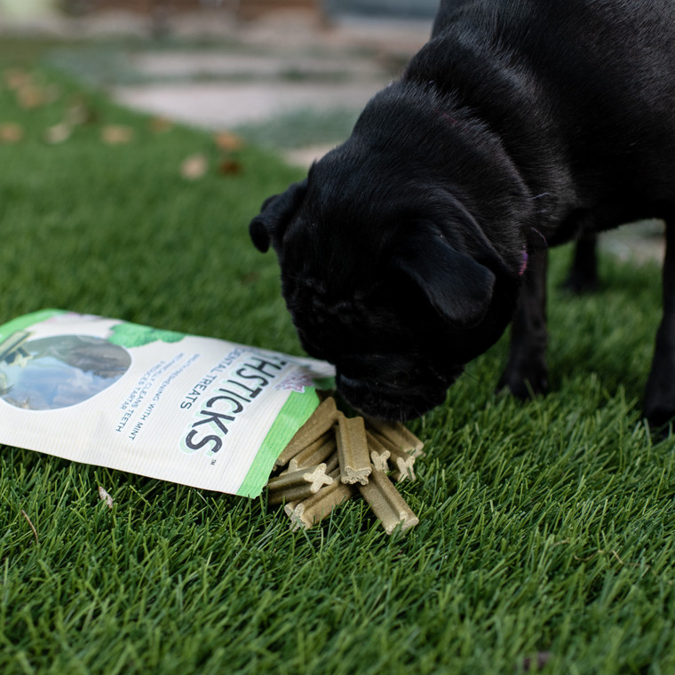 Toothsticks - Fresh Mint Dental Sticks For Dogs | Shop LP