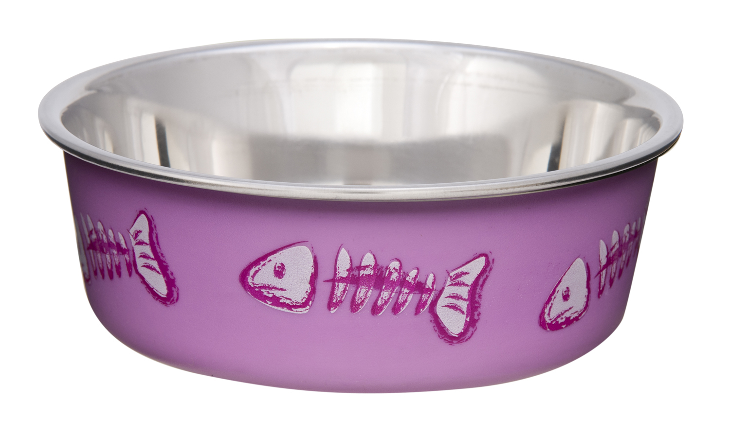 Cat Food  & Water Bowls 