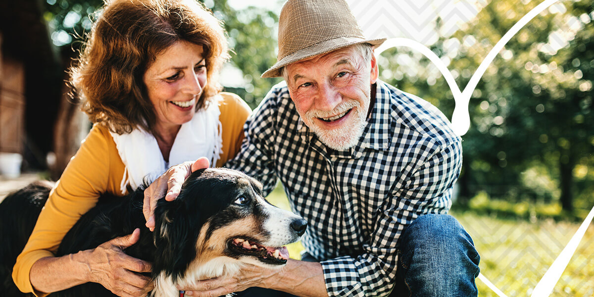 Understanding Canine Cancer: Prevention, Detection and Treatment - Shop LP - K9 Cancer Prevention With Spinach And Turmeric