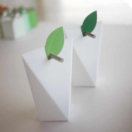 Petite étiquette Feuille Chlorophylle