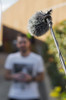 Illustrative image of: Rode Micro Boompole Pro: Microphone Booms: MICRO-BOOMPOLE-PRO