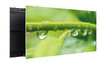 NADiV Displays LED Screen Image