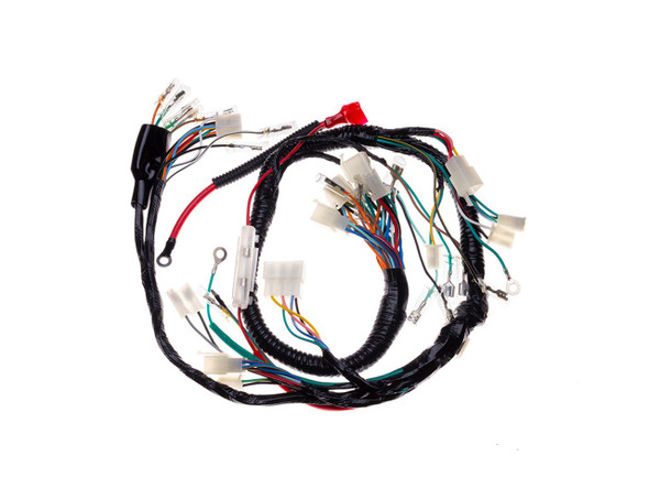 Universal Complete Motorcycle 12v Wiring Harness / Loom