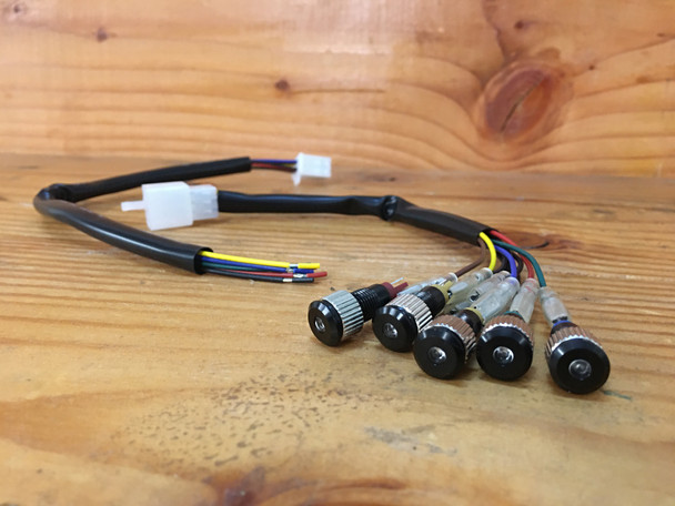 Gauge Cluster Idiot Lights