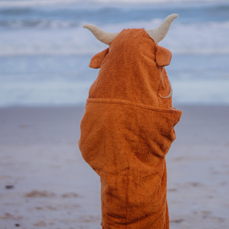 Longhorn hooded towel