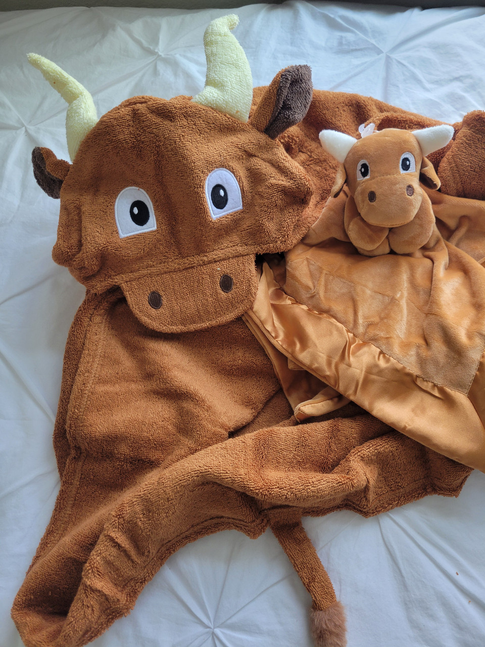 Longhorn hooded towel