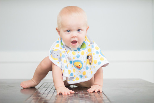 bib burp cloth, bib combo bib burp cloth, bib combo