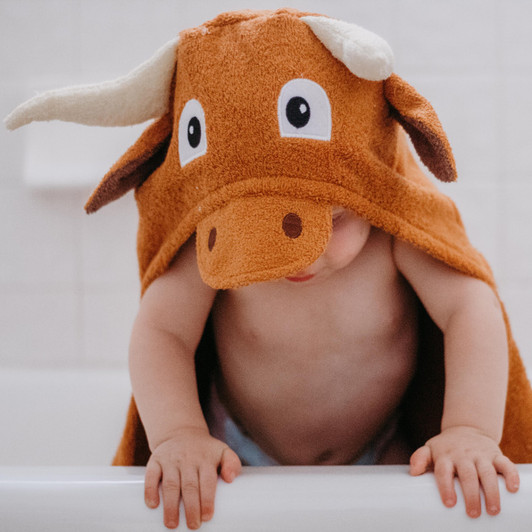 Baby longhorn hooded towel