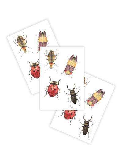 Beetles Beetles