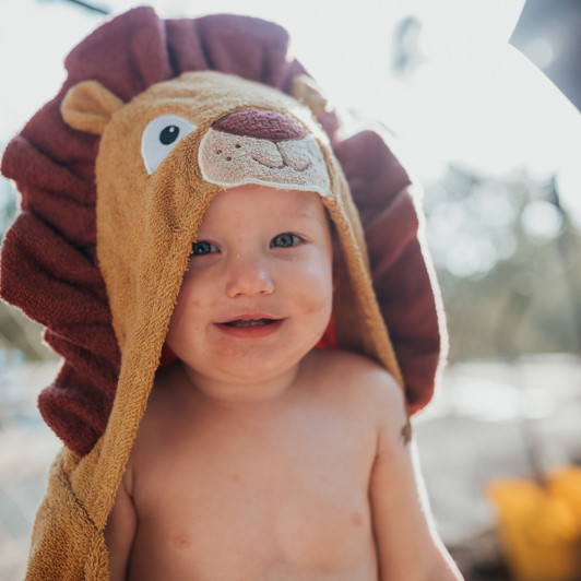 lion baby hooded towel