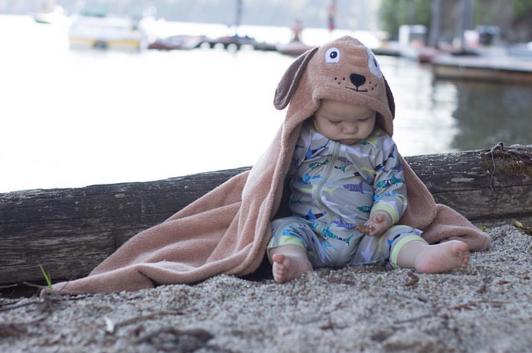 Dog Hooded Towel
