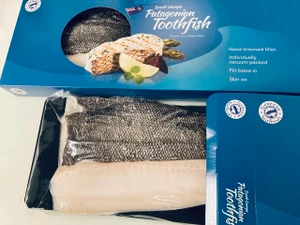 Patagonian MSC Certified  toothfish fillet 2.5-2.6kg (chilean seabass)