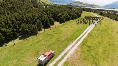 The Future of Food The Future of Food