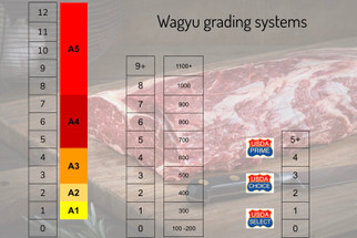 All You Need to Know About Wagyu Grading Systems