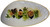 USA Captain's Call sea scallop - wild caught, MSC