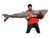 Patagonian MSC Certified  toothfish fillet 2.5-2.6kg (chilean seabass)