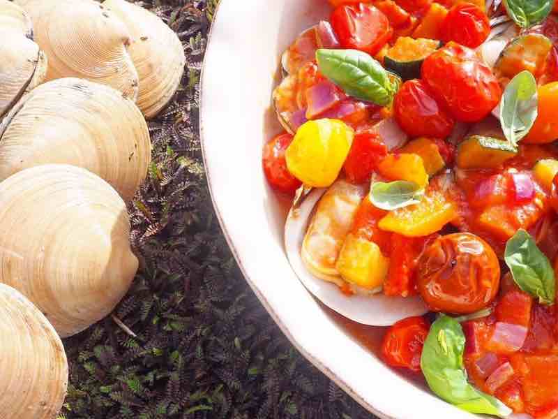 Steamed clams with ratatouille