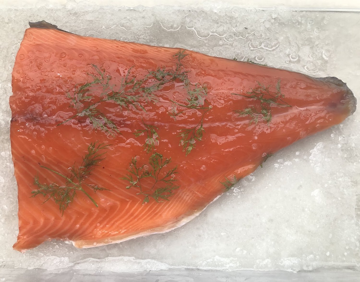 Cured freshwater king salmon (gravlax)