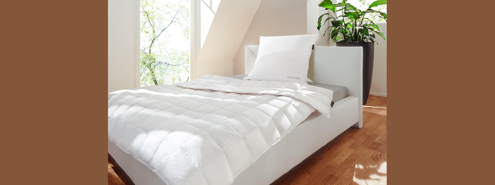 German Down Comforters and Pillows Black Forest Down Comforters