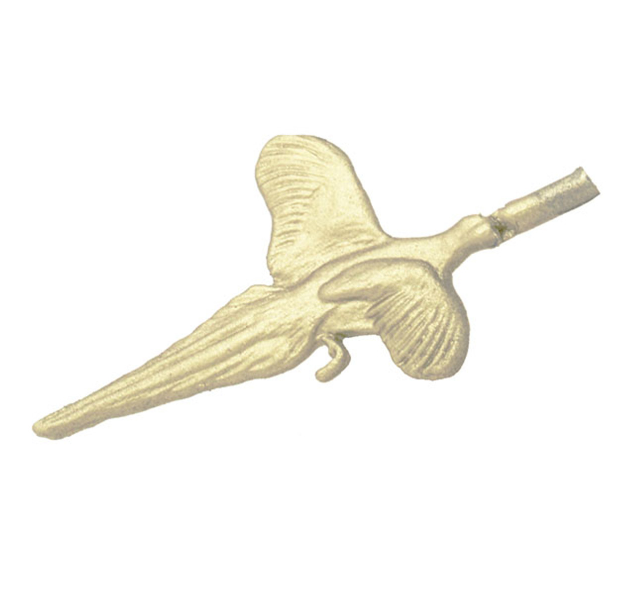 Flying Fern Bird