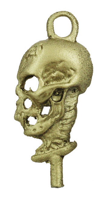 Side View Skull