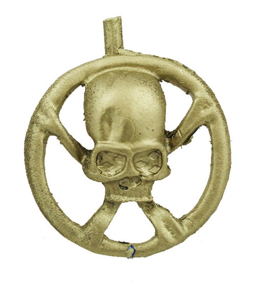 Skull and Crossbones in Circle