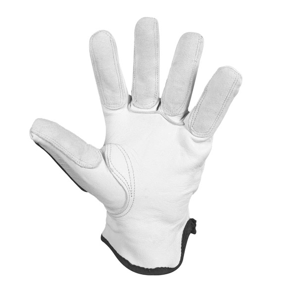 Delta Force Anti-Impact Goatskin Grain Leather Kevlar® Lined Gloves | SafetyApparel.ca