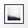 'Forest Mist I' Photography Poster from The Printed Home