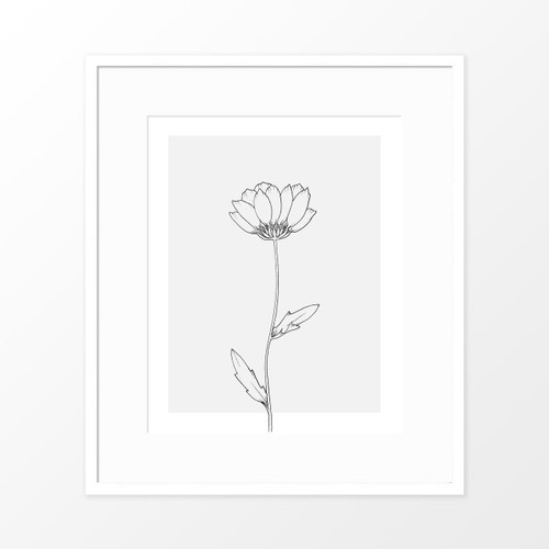 'Wildflower Study I' Art Print from The Printed Home