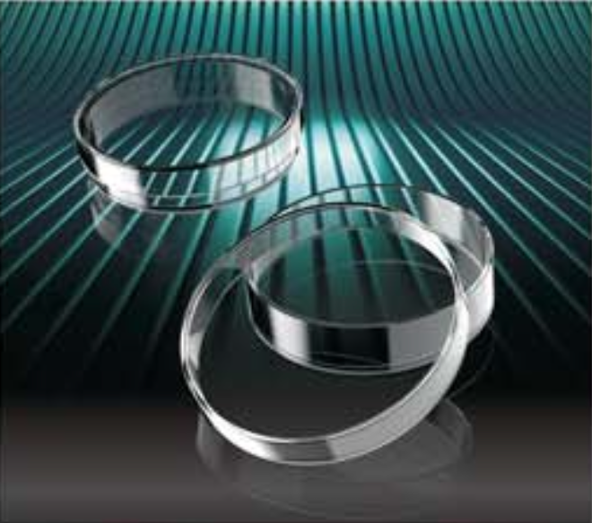 Petri plate ø 55/0 H=14,2 sterile R (with vents), 1005 pcs.